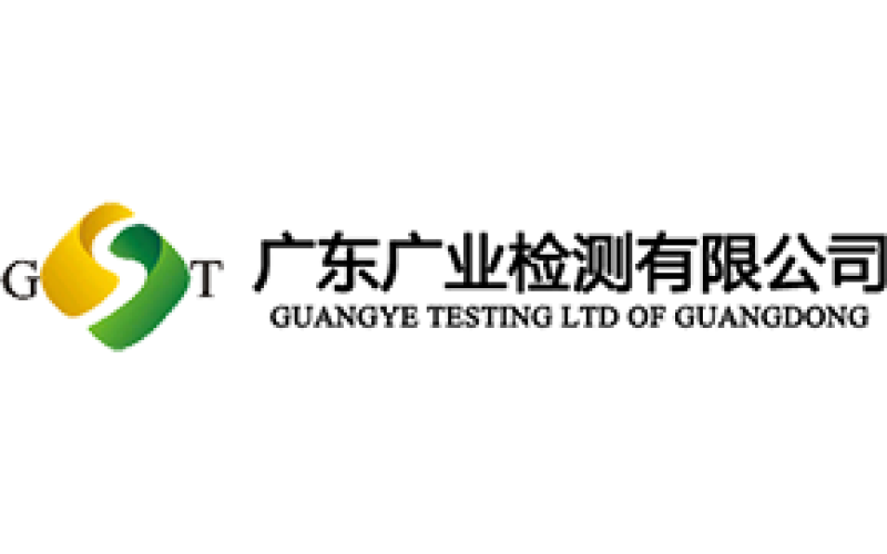 廣東廣業檢測有限公司視頻監控工程